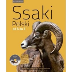 ssaki-polski-od-a-do-z-w-iext41741905