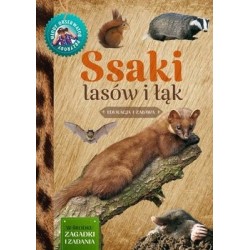 ssaki-lasow-i-lak-w-iext48188532